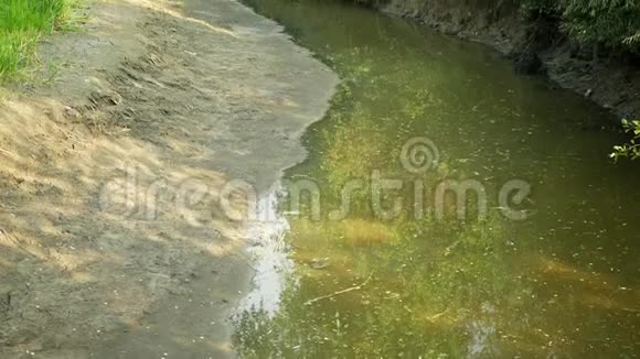 干旱干燥河流莫拉瓦水干涸土壤开裂富营养化气候变化环境灾害视频的预览图