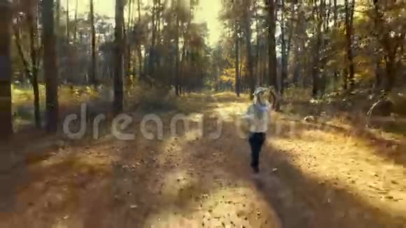 女孩在阳光明媚的早晨森林里奔跑体育运动视频的预览图