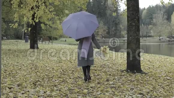一个带着紫罗兰伞和围巾的美丽女人慢慢地走进秋天的公园秋天美丽的黄叶视频的预览图