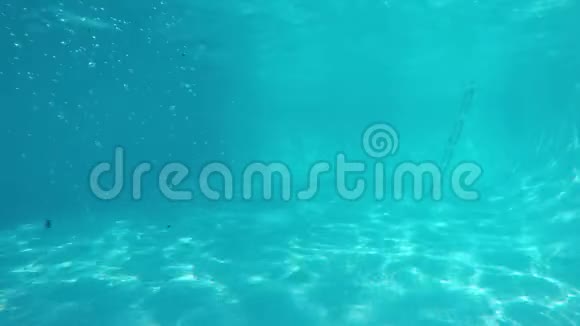 两个穿着比基尼的白种人女孩在水中经过蓝色游泳池的镜头从水下观看视频的预览图