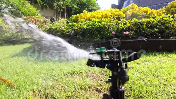 泉水系统用于花园中的植物浇水4k超高清慢速运动视频的预览图