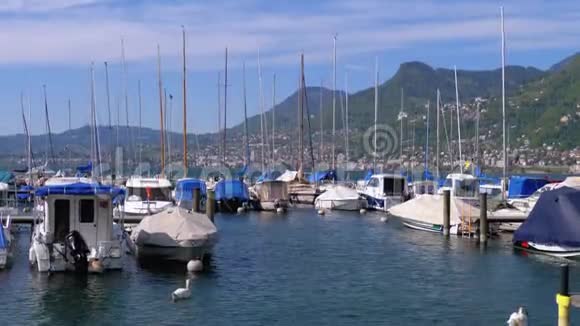 在瑞士蒙特勒日内瓦湖的港口停泊游艇和船只视频的预览图