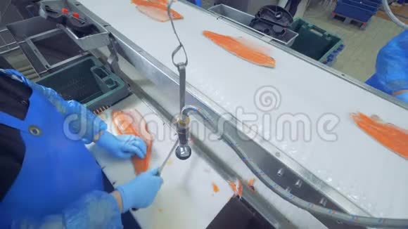 工人正在切断一条鲑鱼视频的预览图