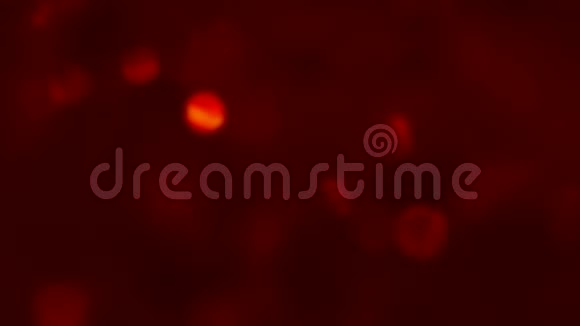 红色节日背景模糊圆形斑点运动视频的预览图