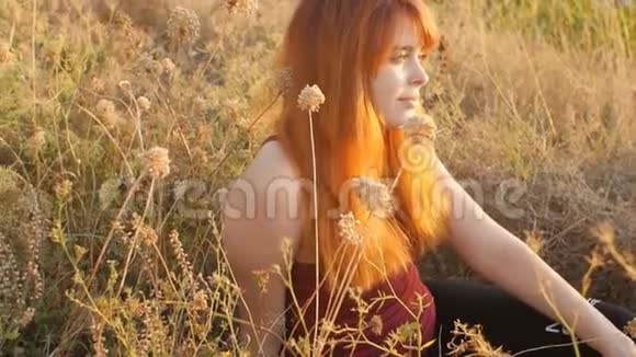 美丽的红发女孩坐在一片干燥的花丛中的田野上在日落时享受大自然年轻的女人放松欺骗视频的预览图