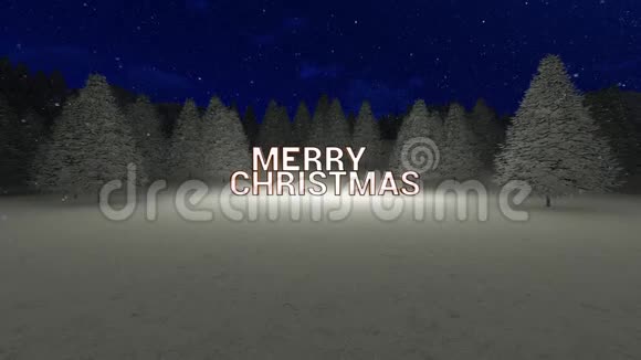 圣诞快乐视频的预览图