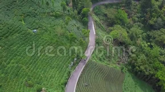 台湾阿里山地区乌龙茶种植园沿道路行驶鸟瞰图视频的预览图