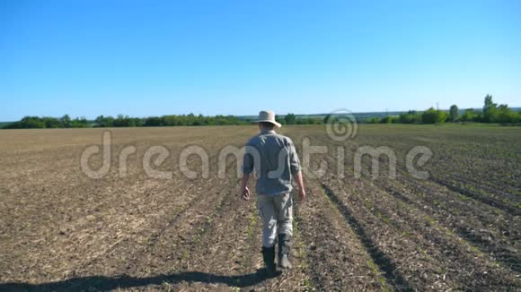 在阳光明媚的夏日里戴着帽子和衬衫的年轻男农场主在他的田野上穿过绿色的小芽视频的预览图