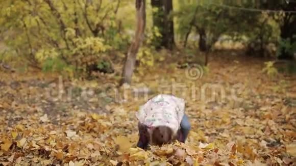 一个小女孩把黄叶放在一大堆里妈妈和女儿正在打扫院子里的树叶视频的预览图