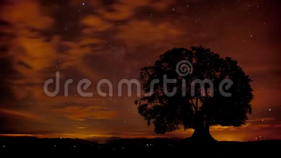银河系云和星星在单棵树后面的运动视频的预览图