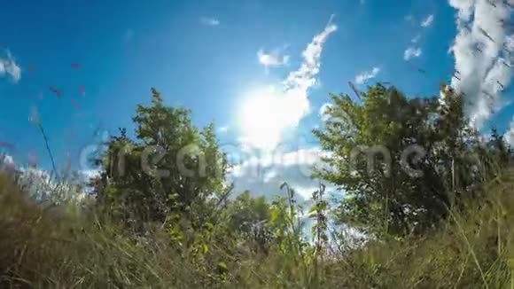 在蓝蓝的天空中移动的云的底部视图上面有树木的景观场时光流逝视频的预览图