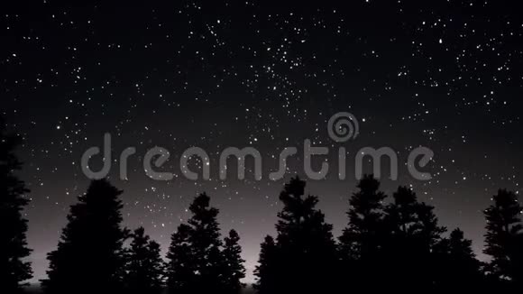 夜空星空和树木剪影全景3D现实镜头视频的预览图