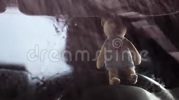 毛熊车窗雨高清视频的预览图