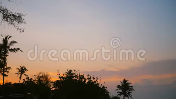 在异国海滩日出时美丽的棕榈树剪影的背景镜头慢慢升起视频的预览图