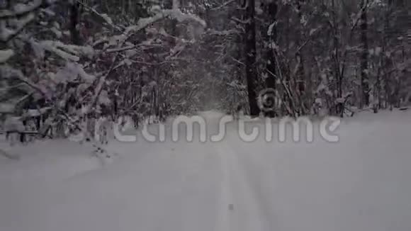 沿着森林中的雪道飞翔视频的预览图