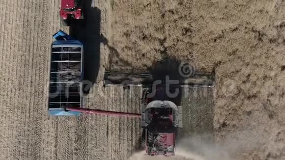 在科尔扎4k油田工作的联合收割机的俯视图视频的预览图