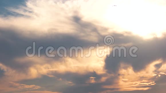 日出的天空和鸟儿视频的预览图