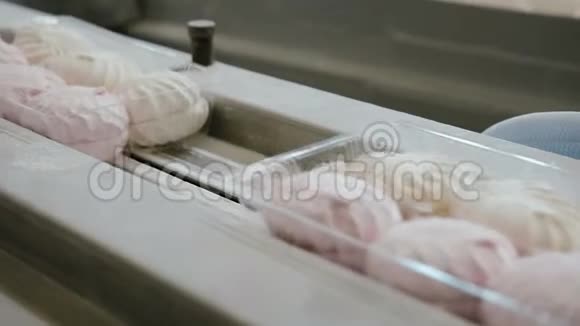 6个白色水槽棉花糖的塑料包装在糖果厂的传送带上移动视频的预览图