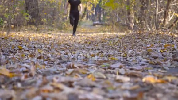 在秋天的森林里一个年轻的认不出来的人沿着小径跑他慢跑踩着彩色落叶运动员视频的预览图