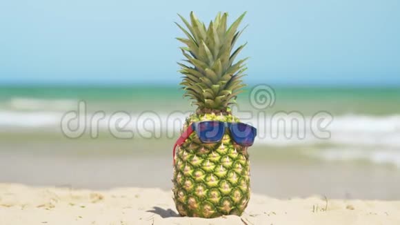 海上度假的太阳眼镜里欢快的菠萝概念暑假视频的预览图