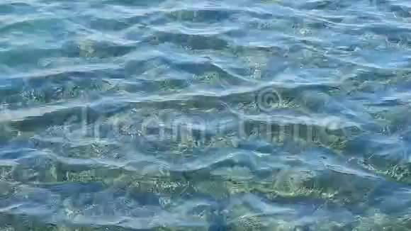 沿海湖泊的潮汐特写视频的预览图