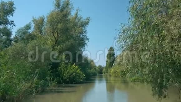 乌克兰维尔科夫市多瑙河三角洲狭窄河道美景视频的预览图