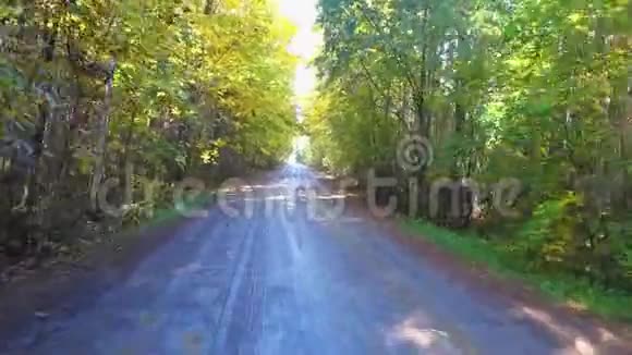 波夫汽车驾驶射击沿着美丽的秋林路行驶视频的预览图