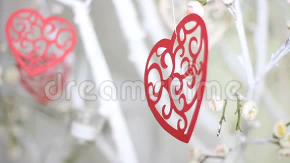 树枝上的红心节日快乐情人节庆祝心爱理念视频的预览图