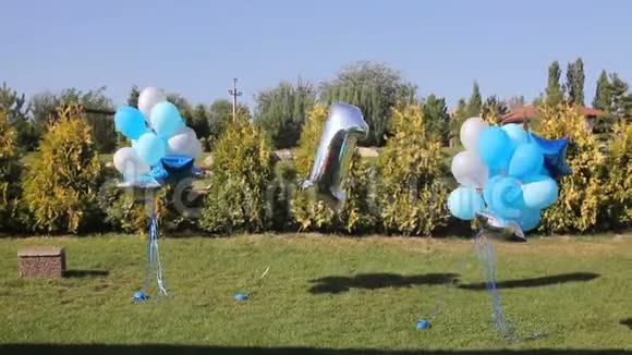 周年纪念或生日照片区户外草地上有白色蓝色和透明气球空间自由视频的预览图