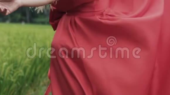 一个女人的身体的特写裁剪的框架她穿着一件红色的长裙背上有一个大蝴蝶结在框架里视频的预览图