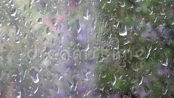 大量的雨滴从窗玻璃上流下来视频的预览图