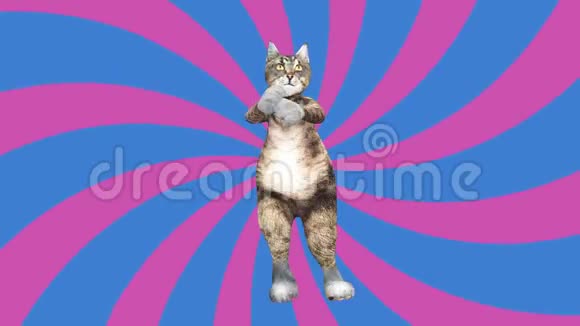 漫画猫挥舞着爪子和尾巴在一个充满活力的舞蹈剪辑夏季心情视频的预览图