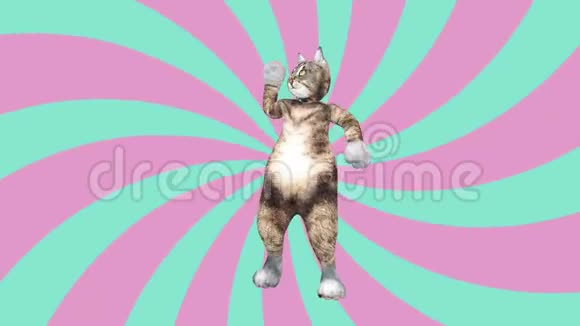 漫画猫挥舞着爪子和尾巴在一个充满活力的舞蹈剪辑夏季心情视频的预览图
