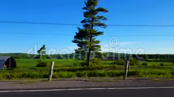 白天由农村田野驾驶的侧视司机的观点pov开车经过乡村风景区视频的预览图