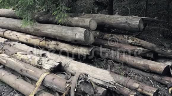 在树林里提取的木头山地景观木工材料视频的预览图