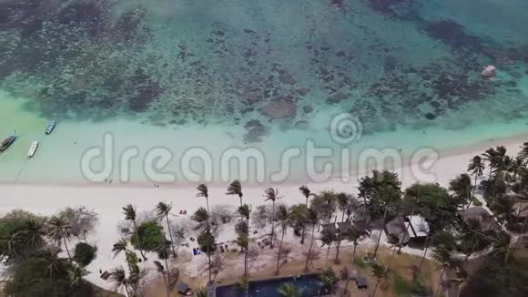 绿松石泻湖珊瑚礁位于热带国家的棕榈树和沙生海岸线旁高空俯视图视频的预览图