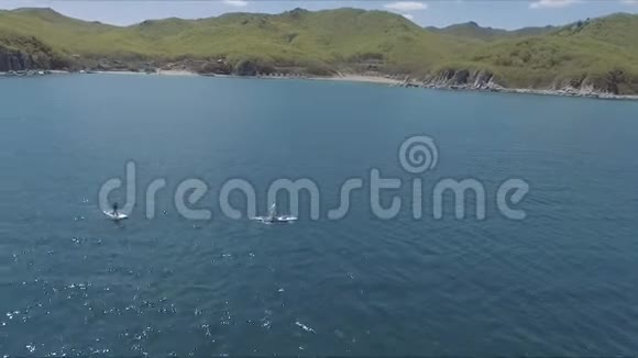 热带加勒比海海域2名男子之间的空中无人驾驶视频视频的预览图