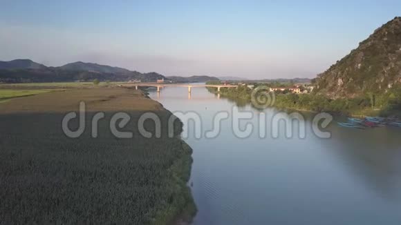 小镇和绿色花生田之间的空中观景河视频的预览图