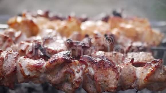 肉串上的肉串上的手持烧烤烧烤室外的近距离视频的预览图