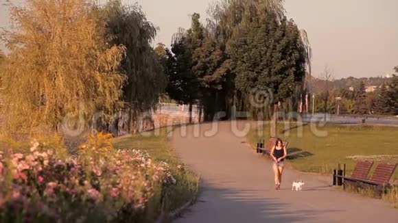 公园里遛狗的女孩视频的预览图