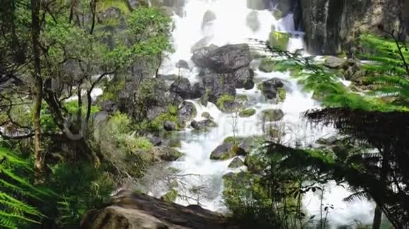塔拉韦拉瀑布新西兰北岛视频的预览图