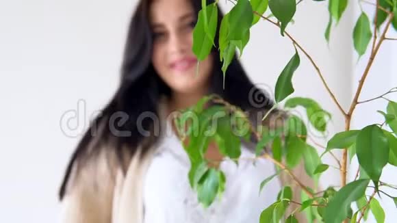 怀着孕妈妈微笑着站在绿色植物旁视频的预览图