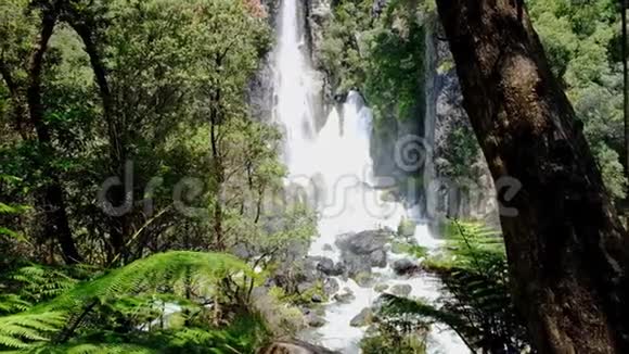塔拉韦拉瀑布新西兰北岛视频的预览图
