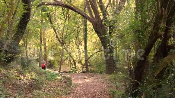 一个女人独自在树林里走开视频的预览图