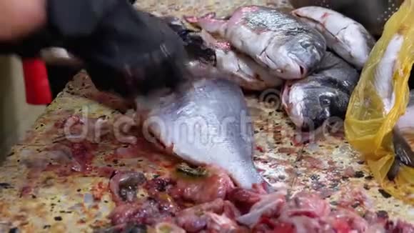 市场上的鱼鳞和切割妇女手工清洗和切鲜鱼视频的预览图