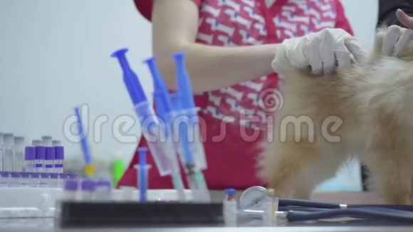 穿着五颜六色的医用长袍用注射器注射疫苗的护士手视频的预览图