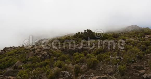 云雾缭绕的巴乐山景观视频的预览图
