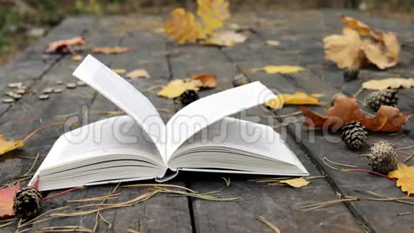 古木上有一本书落了松果秋天的黄叶枫和橡树风吹走了树叶移动了视频的预览图