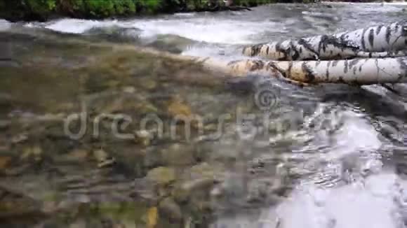 塞马河一条小山河流经长满森林的岩石河岸视频的预览图
