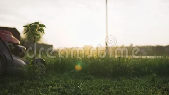 人在茅舍的草地上割草视频的预览图